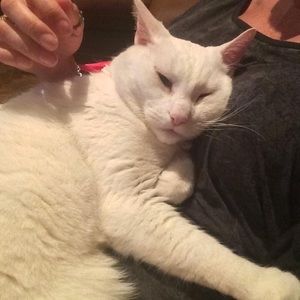 Meet your Posher, Adriana